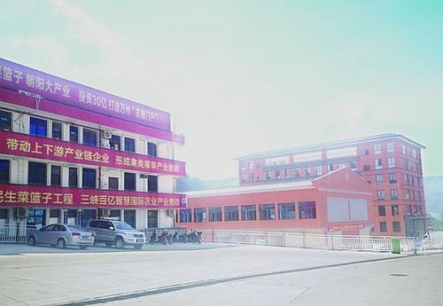 三峽國際農產品集散基地 商貿區 年底投入運營 豐富渝東北片區 菜籃子